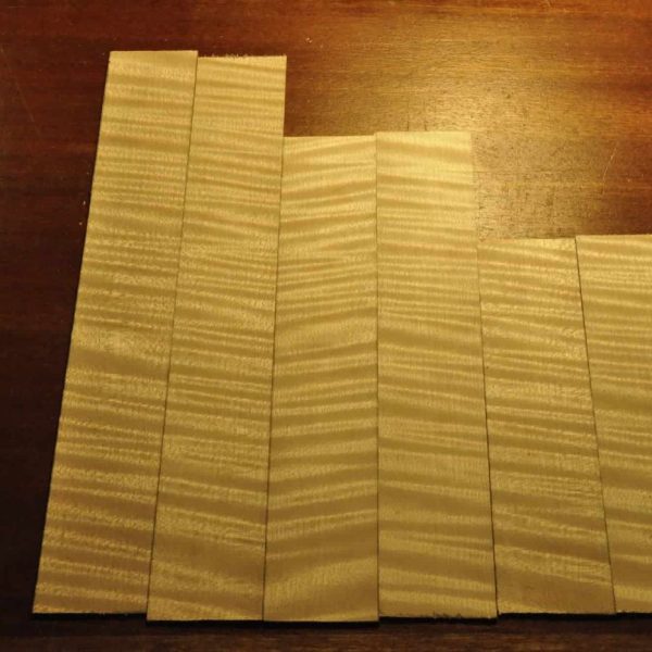 13 广西姬 鳟鱼12_杂图08