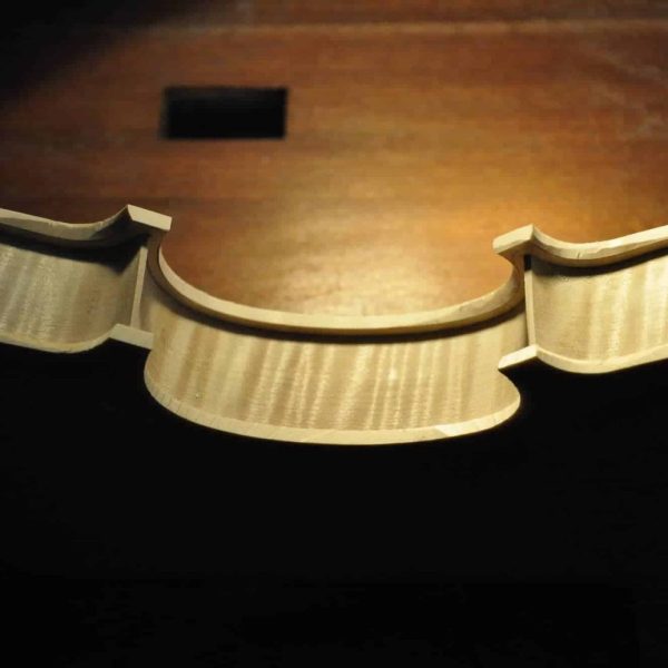 13 广西姬 鳟鱼12_杂图10