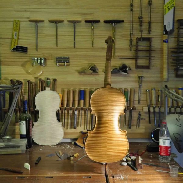 17 武汉刘 云杉 14_杂图_1