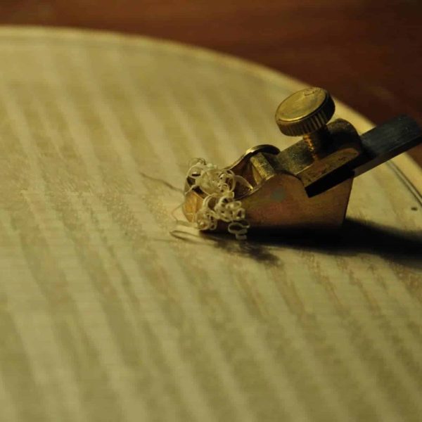 美国丽人_杂图_4