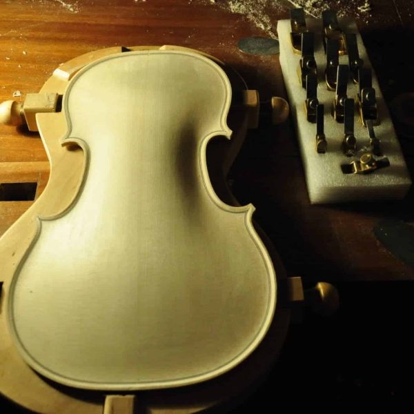 美国丽人_杂图_5