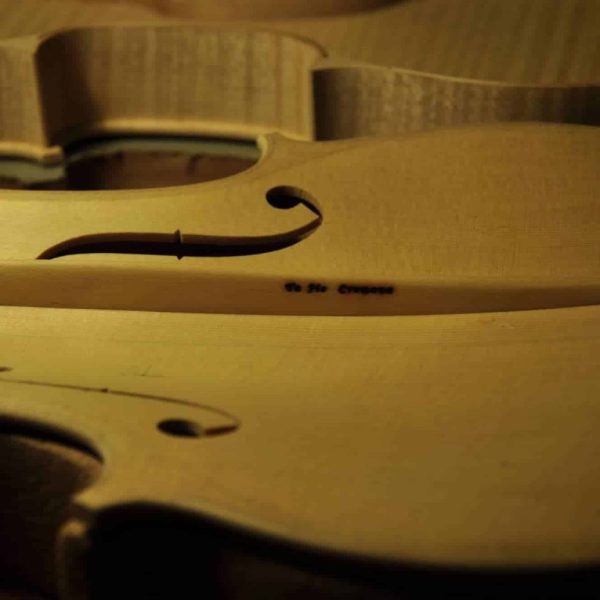 美国丽人_杂图_6