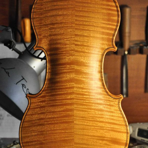 9 云南马 万花筒 11_09