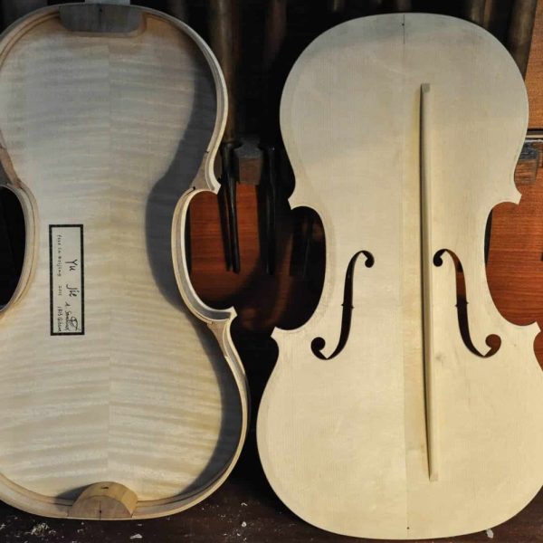 9 云南马 万花筒 11_15