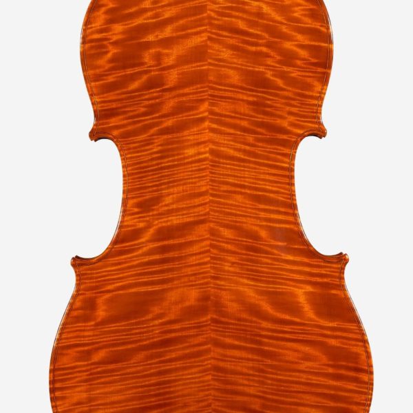 cello fondo